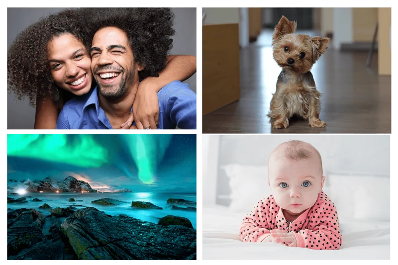 4 emotive photos - happy couple, cute animal, cute baby, and stunning nature